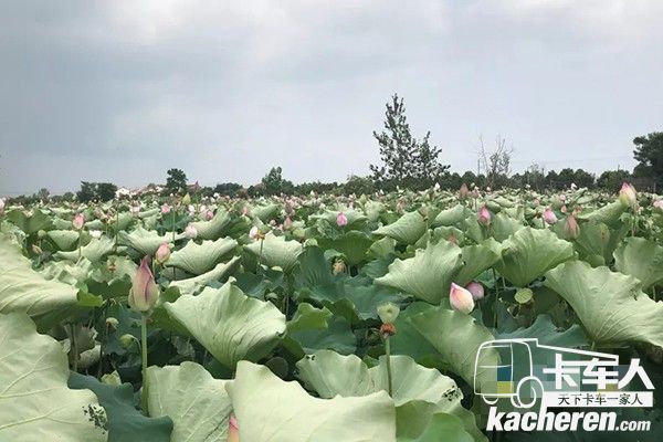 救援3小時達,保障農(nóng)產(chǎn)品新鮮安全