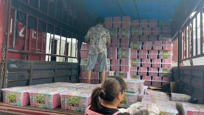 90后年輕用戶工作休閑兩不誤 開德沃斯能跑綠通還能去釣魚?